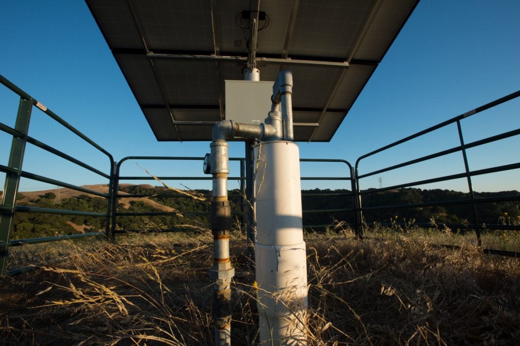 U.S. Department of Agriculture (USDA) Natural Resources Conservation Service (NRCS) was able to assist Ned Wood better manage his ranch operation with photovoltaic solar cells, above, powering the well pump, in the foreground to continue his life long dream of ranching that began in 2009 and survives on Friday, July 24, 2015, now leading a thriving family business that improves the lives of hundreds of his cows, calves and yearlings that graze the approximately 4,000 acres of drought stricken range land in the 6,255 acre East Bay Regional Park District’s Briones Regional Park (http://www.ebparks.org/parks/briones) in Contra Costa County, CA. In 2013, the drought began to dry a vast majority of the man-made ponds and more would no longer hold drinkable water for his cattle. His decision to cull some of his cattle was incentive enough to seek new ideas and solutions. He went to the USDA NRCS Service Center in Concord, CA for help and received it from District Conservationist Hilary Phillips. The USDA solution, in collaboration with the East Bay Regional Park District (EBRPD), was to tap into a well resource on recently acquired EBRPD property at the edge of the park. The remote location made use of photovoltaic “solar” panels to power well pumps that draw ground water from hundreds of feet below the surface. “The current drought has been hard on the land, hard on the cattle and challenging on the financial health of our family business,” says Ned Wood, on the grass lands of expressing sentiments shared by hundreds of California ranchers. Wood, a rancher in the Bay area just east of San Francisco, has unique local conditions that compound the challenging drought conditions. “Where my family and I ranch in the Bay Area, much of the rangeland has public access and requires the land to be managed differently than private lands,” Wood says. To accommodate this unique intermingling of ranching and public recreating, Wood has developed lines of cattle unlik